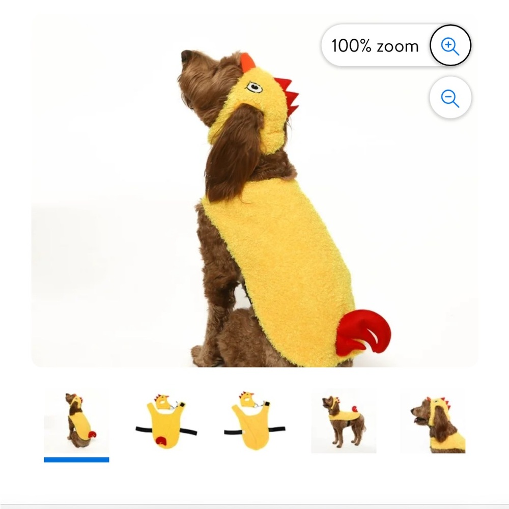 Dog chicken Halloween costume!